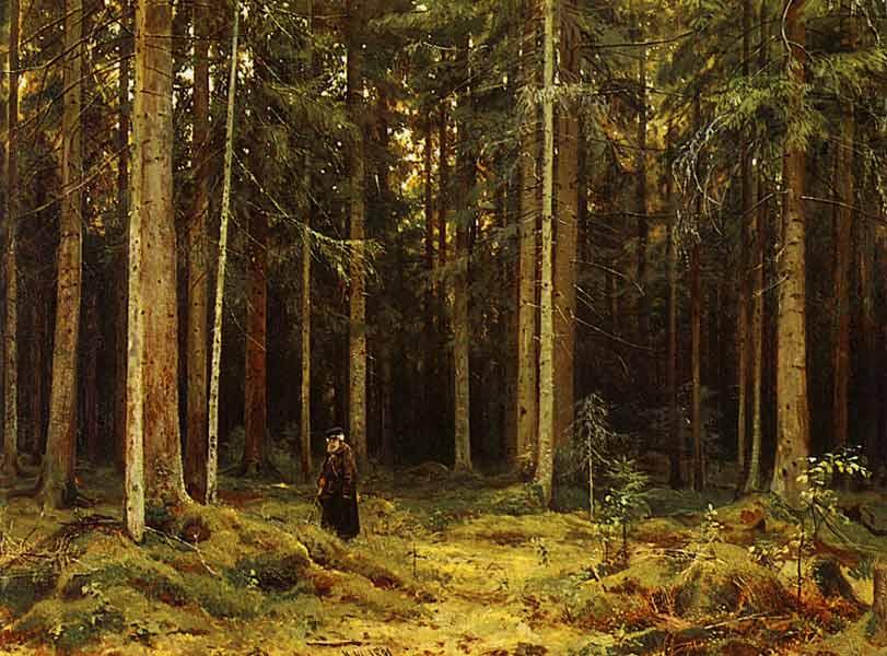 Сочинение по картинеИ - Шишкина «В лесу графини Мордвиновой»