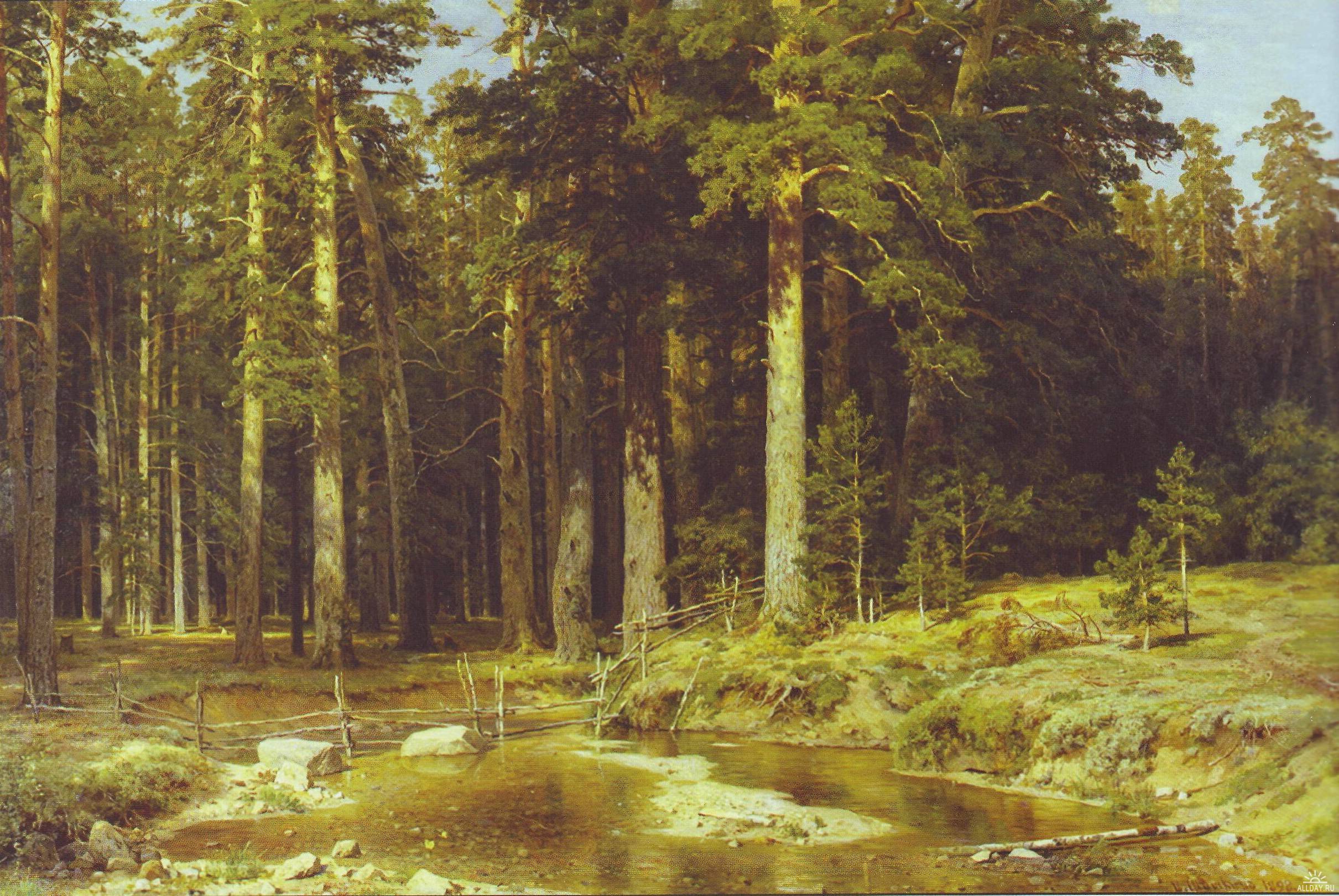 Сочинение по картине Шишкина «Корабельная роща» - Сочинение по картине Шишкина «Корабельная роща» -